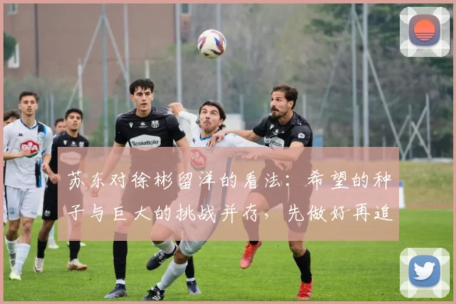 苏东对徐彬留洋的看法：希望的种子与巨大的挑战并存，先做好再追求完美