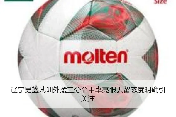 辽宁男篮试训外援三分命中率亮眼去留态度明确引关注（kaiyun）